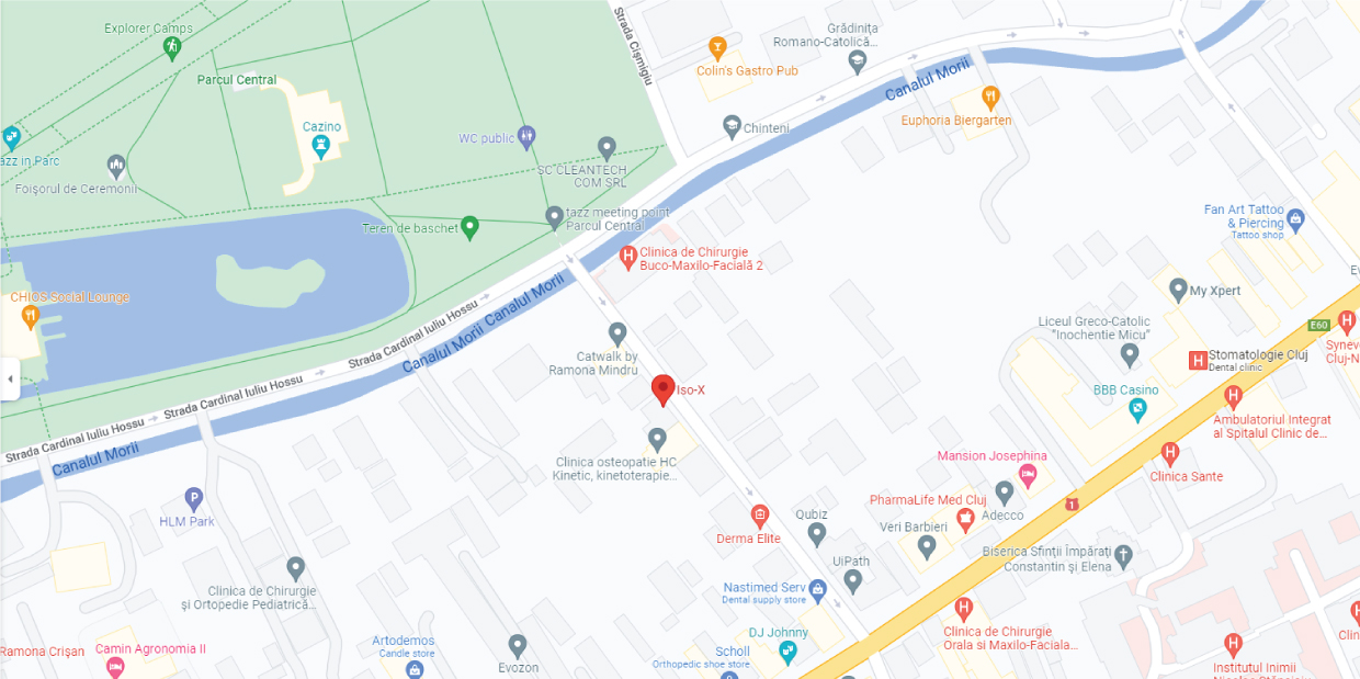 ISO-X Google Maps